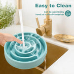 Slow-Feeder Dog Bowl