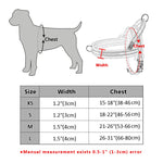 No-Pull Padded Dog Harness