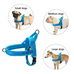No-Pull Padded Dog Harness
