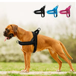 No-Pull Padded Dog Harness