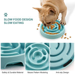 Slow-Feeder Dog Bowl